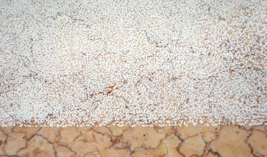 Helios Lux Flächenschleifautomat – Bild 4